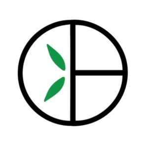 Bamboobasics